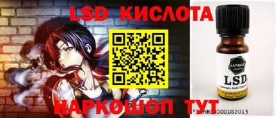 тгк Дмитров