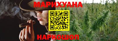 тгк Дмитров