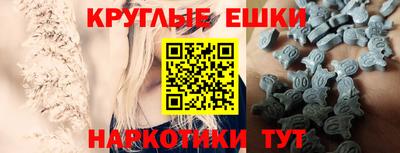 тгк Дмитров