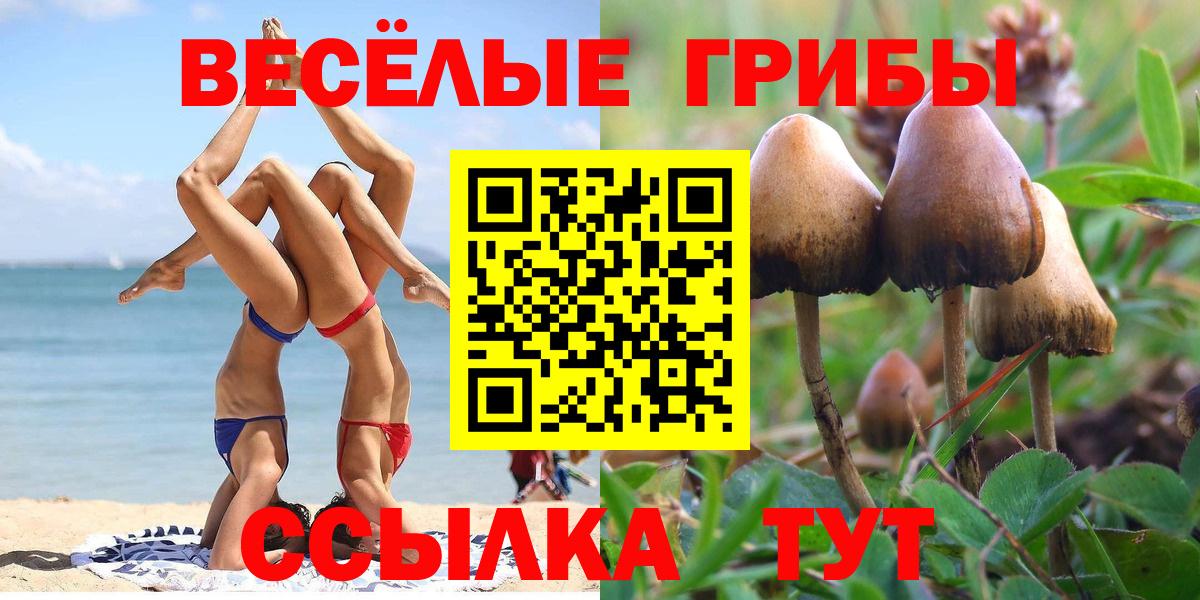 Галлюциногенные грибы прущие грибы Красноярск
